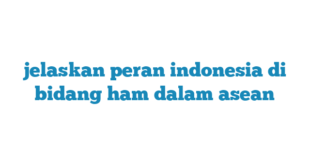 jelaskan peran indonesia di bidang ham dalam asean