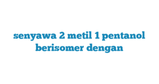 senyawa 2 metil 1 pentanol berisomer dengan
