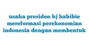 usaha presiden bj habibie mereformasi perekonomian indonesia dengan membentuk